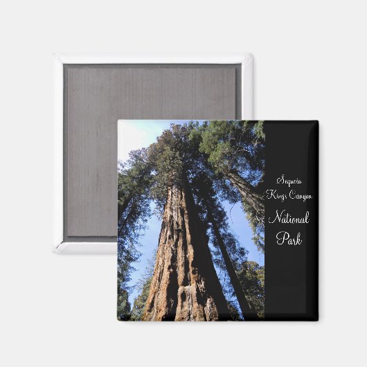 Sequoia/Kings Canyon National Park Magnet (Recto/Verso)