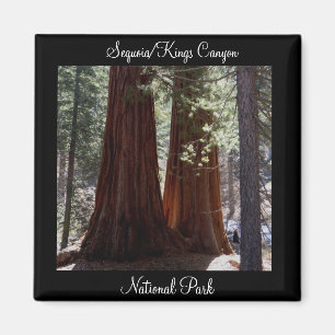Sequoia/Kings Canyon National Park Magnet