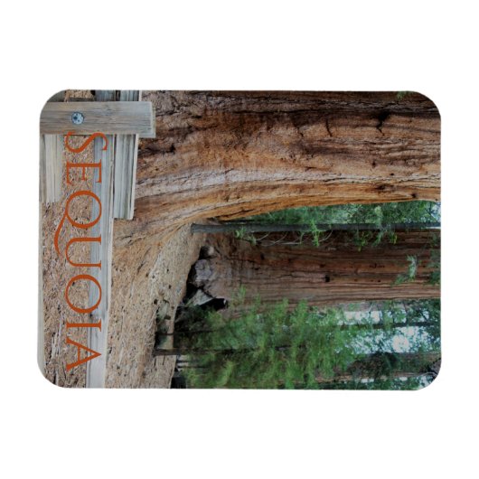 Sequoia/Kings Canyon National Park Magnet (Horizontal)
