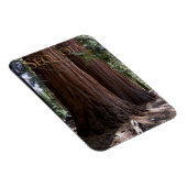Sequoia Kings Canyon National Park Magnet (Côté Droit)