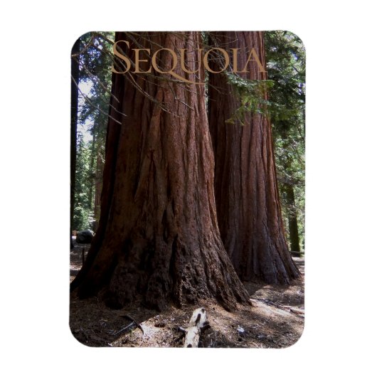 Sequoia Kings Canyon National Park Magnet (Vertical)