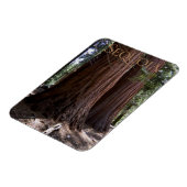 Sequoia Kings Canyon National Park Magnet (Côté Gauche)