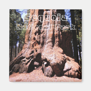 Sequoia/Kings Canyon National Park Magnet Magneet
