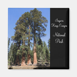 Sequoia/Kings Canyon National Park Magnet Magneet