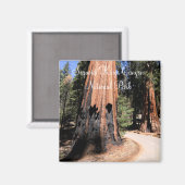 Sequoia/Kings Canyon National Park Magnet Magneet (Voorkant / Achterkant)
