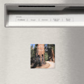 Sequoia/Kings Canyon National Park Magnet Magneet (Insitu (Vaatwasser))