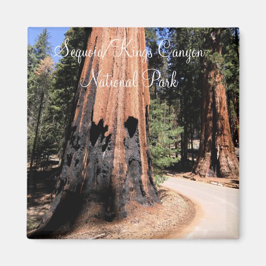 Sequoia/Kings Canyon National Park Magnet Magneet (Voorkant)