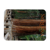 Sequoia/Kings Canyon National Park Magnet Magneet (Horizontaal)
