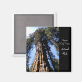 Sequoia/Kings Canyon National Park Magnet Magneet (Voorkant / Achterkant)