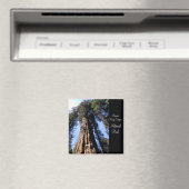 Sequoia/Kings Canyon National Park Magnet Magneet (Insitu (Vaatwasser))