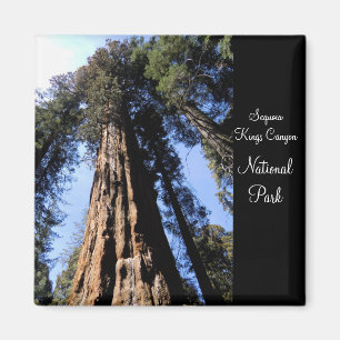 Sequoia/Kings Canyon National Park Magnet Magneet