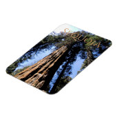 Sequoia/Kings Canyon National Park Magnet Magneet (Linkerzijde)