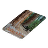 Sequoia/Kings Canyon National Park Magnet Magneet (Linkerzijde)