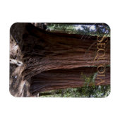 Sequoia Kings Canyon National Park Magnet Magneet (Horizontaal)
