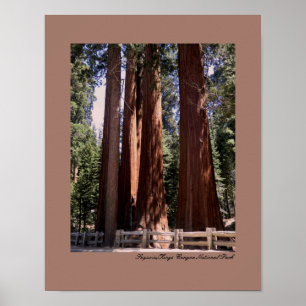 Sequoia/Kings Canyon National Park Poster