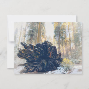 Sequoia Nationaal Park Winterbos Briefkaart
