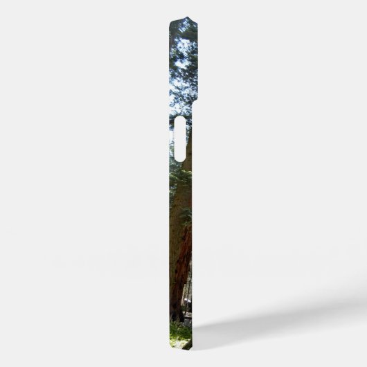 Sequoia National Forest iPhone 14 Coque (Verso / Droite)