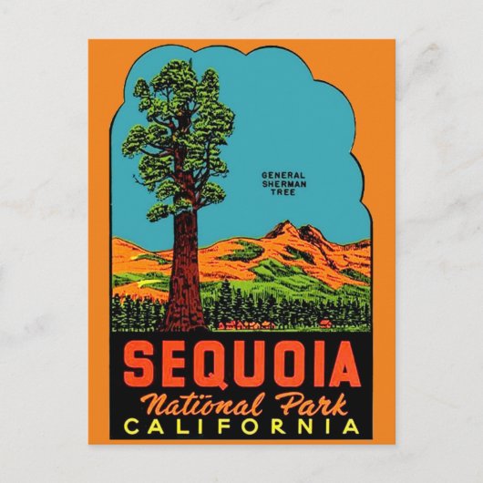 Sequoia National Park California Briefkaart (Voorkant)