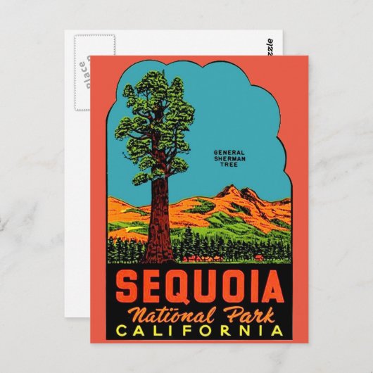 Sequoia National Park California Briefkaart (Voorkant / Achterkant)
