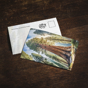 Sequoia National Park California Briefkaart