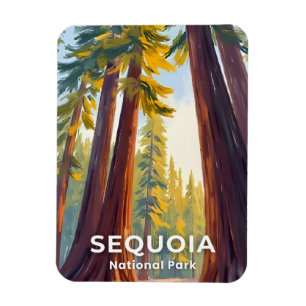 Sequoia National Park Californië Reizen Magneet
