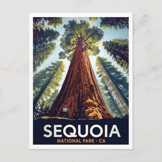 Sequoia National Park Giant Trees Briefkaart (Voorkant)