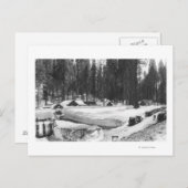 Sequoia National Park Snow Scene in het dorp Briefkaart (Voorkant / Achterkant)
