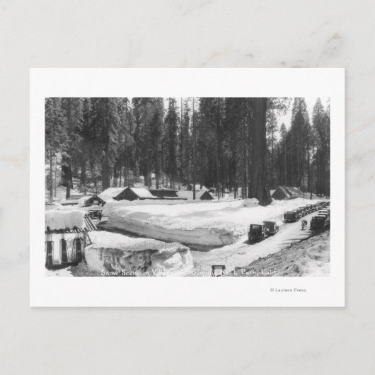 Sequoia National Park Snow Scene in het dorp Briefkaart (Voorkant)