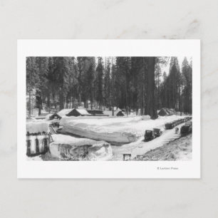 Sequoia National Park Snow Scene in het dorp Briefkaart