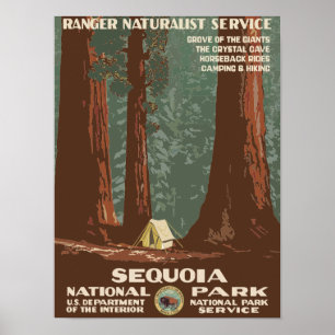 Sequoia National Park USA Vintage Travel Poster