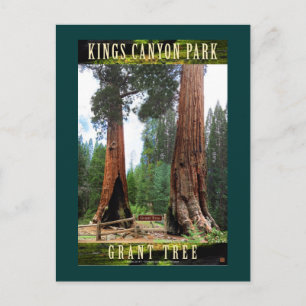 SEQUOIA NAT'L PARK-California-General Grant Briefkaart