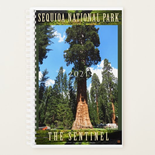 SEQUOIA NAT'L PARK-California-Le Sentinel- (Devant)