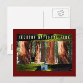 SEQUOIA NAT'L PARK-California-The Giants Briefkaart (Voorkant / Achterkant)