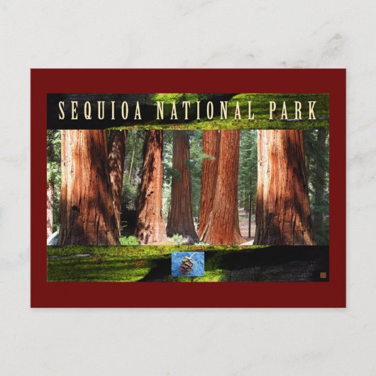 SEQUOIA NAT'L PARK-California-The Giants Briefkaart (Voorkant)
