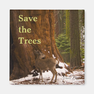 Sequoia Save the Trees Magnet Magneet