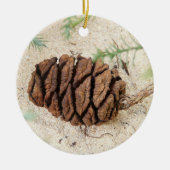 Sequoia Tree Cone, Giant Redwood Ornament (Voorkant)