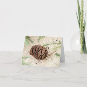 Sequoia Tree Cone op Sandy Ground Kaart