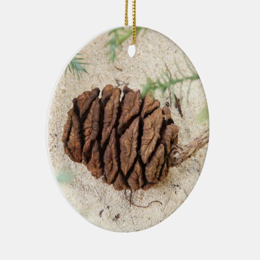 Sequoia Tree Cone Ornament (Rechts)