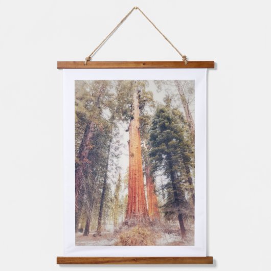 Sequoia Tree Hangend Wandkleed (Voorkant)