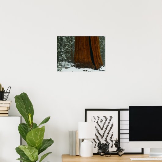 Sequoia Tree Poster (Thuiskantoor)
