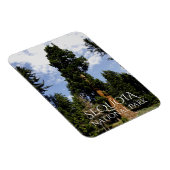 Sequoia Tree tegen Blue Sky, Sequoia NP Magneet (Rechterzijde)