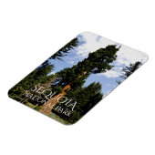 Sequoia Tree tegen Blue Sky, Sequoia NP Magneet (Linkerzijde)