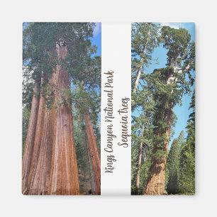 Sequoia Trees Magneet