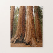 Sequoia Trees, Nationaal Park Sequoia, Californië Legpuzzel (Verticaal)
