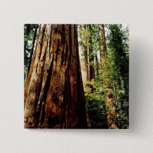 sequoia's- Yosemite Vierkante Button 5,1 Cm
