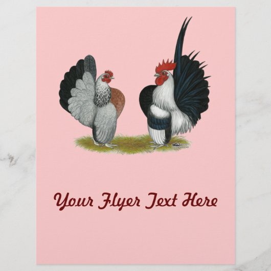 Serama Bantams Flyer (Voorkant)