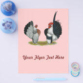 Serama Bantams Flyer (Enkel)