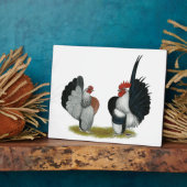 Serama Bantams Fotoplaat (Zijkant)