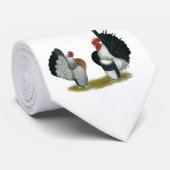 Serama Bantams Stropdas (Opgerold)