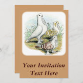 Seraphim Pigeons Kaart (Voorkant / Achterkant)